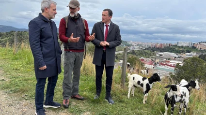 El alcalde de Barcelona y el consejero de Agricultura junto a algunos de los animales que han contratado para ayudar a limpiar el bosque