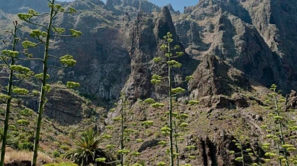 Masca