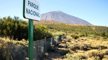 Parque Nacional del Teide