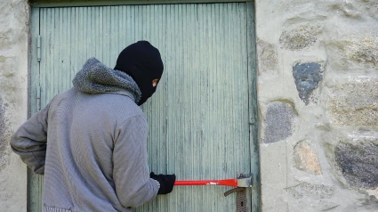 Un ladrón intenta entrar en una vivienda