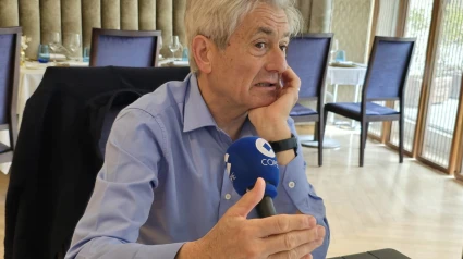 Valenti Pich, presidente del Consejo General de Economistas de España