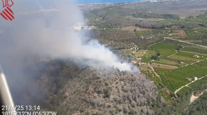 Incendio forestal en Pego. GVA Emergències