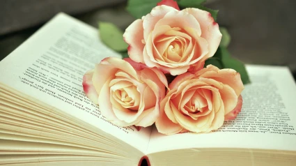 Libro y rosa