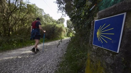 Peregrino en el Camino de Santiago a su paso por Navarra