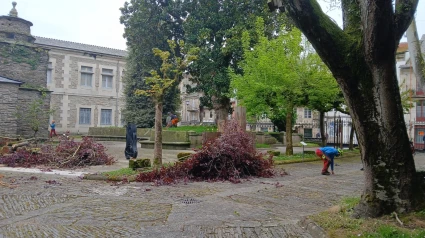 Operarios de la Diputación podan los árboles del Museo Provincial de Lugo