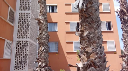El exterior de la vivienda de Gabriela, en Las Remudas