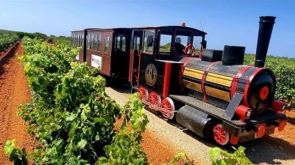 Bodegas Vi Rei