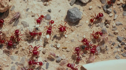 ¿Has usado alguna vez la expresión "bicho malo nunca muere"?: Este es su origen