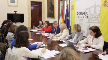 Comisión Provincial de Seguimiento del PFEA