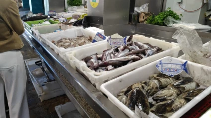 Pescaderos de la Plaza de Abastos de Santiago valoran el bono de la Xunta