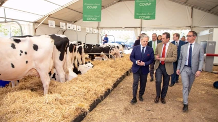 Fuentes (izda), Ricardo Delgado (centro) y Santiago Cabello (dcha.)
