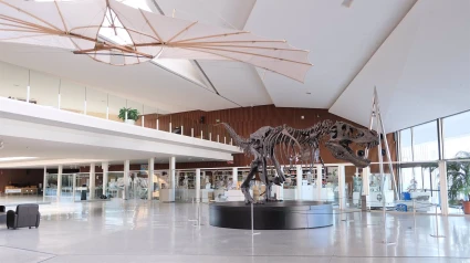 Imagen del El T-Rex del Parque de las Ciencias de Granada