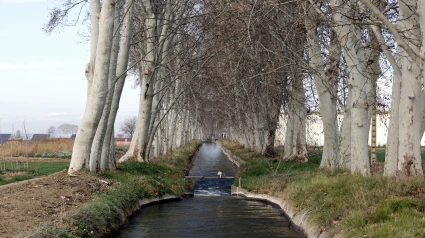 Sequia tercera Canal d'Urgell