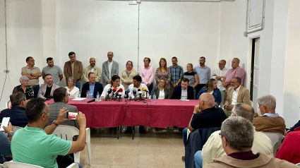 Los concejales que se dan de baja de Nueva Canarias