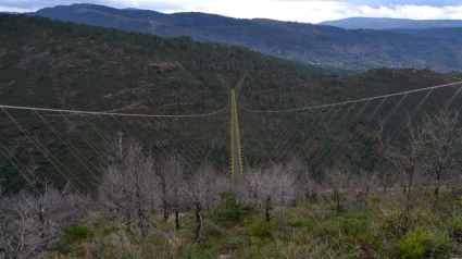 Imagen del proyecto del futuro Puente Colgante de Campodola, en Quiroga
