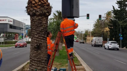 Instalación del nuevo radar en la Avda. de Denia en Alicante