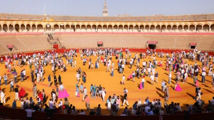 Vista general de la plaza de toros de Sevilla durante la Jornada de Puertas Abiertas
