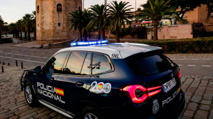 Un coche de la Policía Nacional en los aledaños de la Torre del Oro en Sevilla.