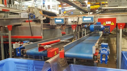 Producción en cooperativa agrícola