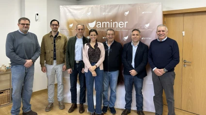 Comité director del Centro de Excelencia e Innovación en Minería Sostenible (CEIMS)