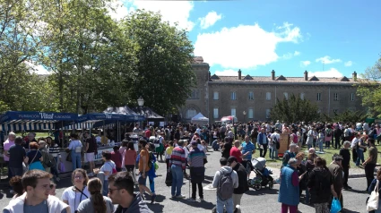 Fiestas de Alava