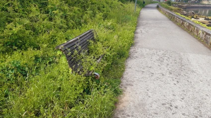 Los bancos apenas se ven por la maleza