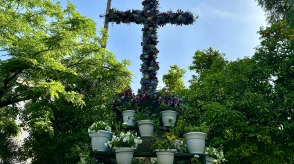 Cruz de la Sangre
