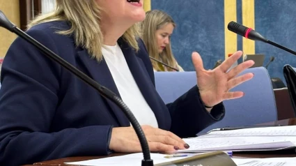 Celia Santiago en rueda de prensaEl PP ha acusado al Gobierno central del socialista Pedro Sánchez de un "castigo injustificable" al sector primario de Granada, dejando fuera de las ayudas por la sequía a más de 2.000 agricultores de las comarcas de Guadix, Baza, Huéscar, Iznalloz, Alhama, Temple y Valle de Lecrín, "pese a cumplir los criterios establecidos por el propio decreto", según los populares.POLITICA PP
