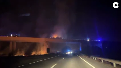 Vuelco y posterior incendio de un camión en la A7 a su paso por Lobres