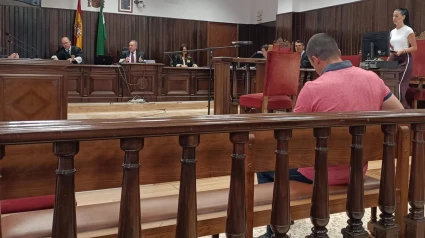 Vista oral contra el hombre condenado por distribuir y generar material pedófilo en Almería.