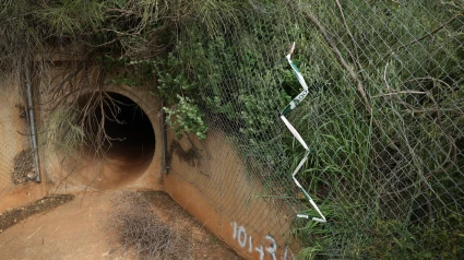 Vista del lugar donde se robó ayer domingo el cobre en la línea Madrid- Sevilla