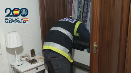 Operación policial contra la pornografía infantil en España
