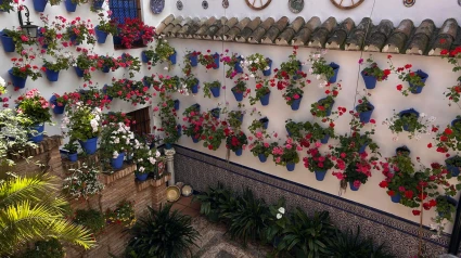 Pared con macetas en Guzmanas, 4