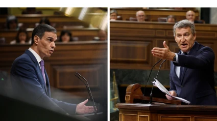 Momento de las intervenciones en el Congreso de Sánchez y Feijóo