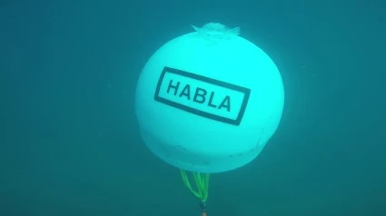 Extremadura apuesta por la enología submarina