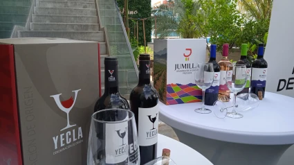 Vinos de Bullas, Jumilla y Yecla