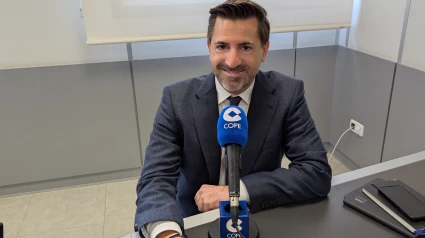 Adrián Zittelli Ferrari, Director de la Dirección General de Unión Europea