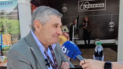 Mario Contento, presidente de Avicon
