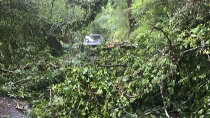 La carretera permaneció durante varias horas cortada