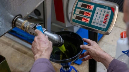 Vende aceite de oliva en Baleares y la práctica que realiza acaba saliéndole muy cara: puede acabar en la cárcel