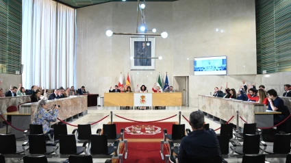 Pleno Ordinario