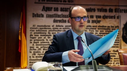 El ex Director del Gabinete de la Ministra de Industria, Comercio y Turismo, Juan Ignacio Díaz Bidart, en su comparecencia en la Comisión por el ‘caso Koldo’, en el Senado