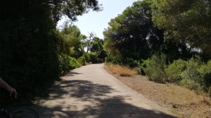 Bosque de la Dehesa