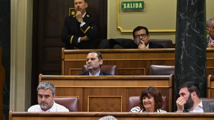 El diputado del Grupo Mixto José Luis Ábalos (2i) asiste a la sesión plenaria del Congreso de los Diputados celebrada este martes en Madrid