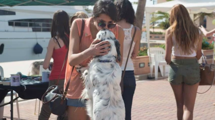 Amor incondicional en el Festival Mascotetes de Marina Dénia: una participante comparte un tierno beso con su mascota durante una de las ediciones más emotivas del evento