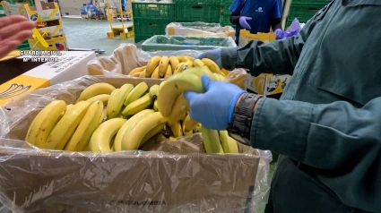Cae empresa alicantina por estafar con fruta: etiquetas falsas, permisos retirados y facturas ocultas
Cae empresa alicantina por estafar con fruta: etiquetas falsas, permisos retirados y facturas ocultas
Cae empresa alicantina por estafar con fruta: etiquetas falsas, permisos retirados y facturas ocultas
Cae empresa alicantina por estafar con fruta: etiquetas falsas, permisos retirados y facturas ocultas