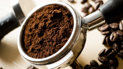 Los posos de café: el oro negro del jardín que revitaliza las plantas