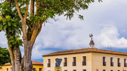 Árbol en la Plaza Riansares y el Ayuntamiento. Tarancón, Cuenca.