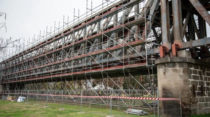 La protección de aves ralentiza, pero no detiene, la ambiciosa reforma del puente ferroviario de Mérida