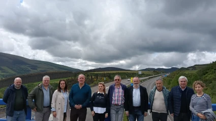 Senadores A8